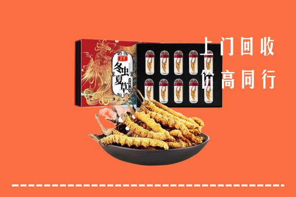 丁青县回收虫草